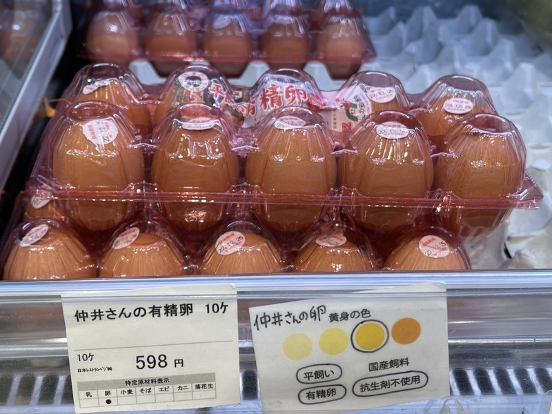 Wabak flu burung di Jepun berterusan. Pemilik kedai kek bimbang harga telur akan naik.