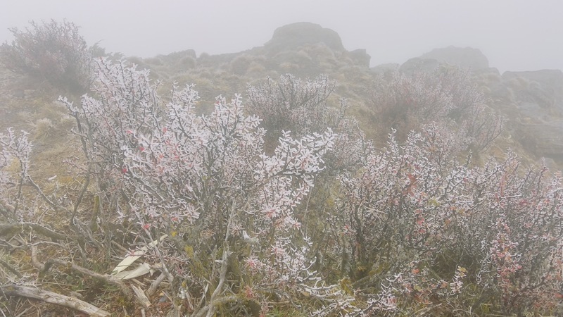 Pemandangan salji alpine akan datang, Yushan mengalami rime pada minus 6.6 darjah Celsius