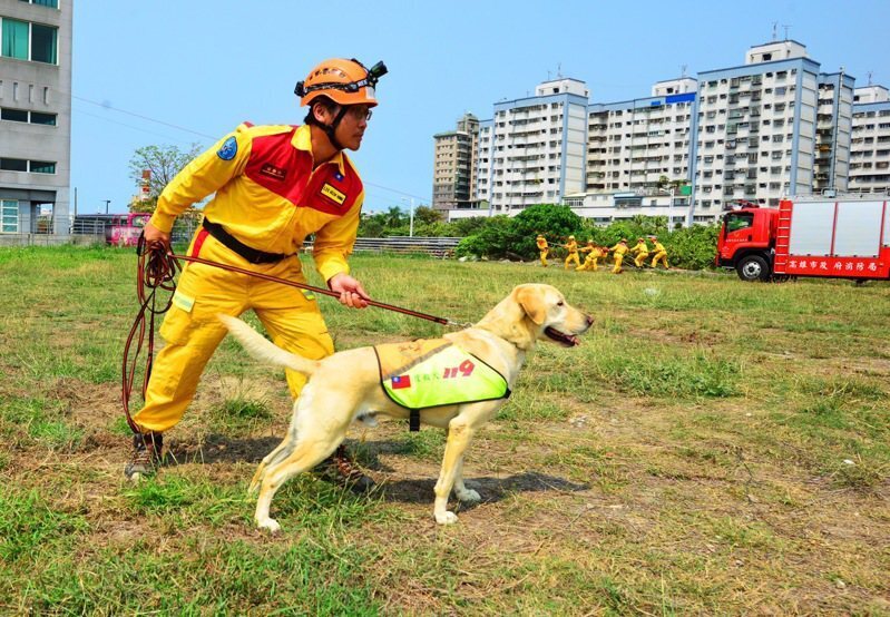 Anjing Penyelamat Berperanan Besar dalam Mencari Mayat Mangsa Yang Tertimbus Akibat Runtuh! Roger, Anjing Penyelamat Super Comel, Muncul di Laman Utama CNN