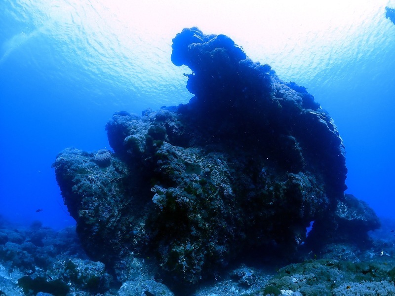 Tempat menyelam Pulau Hijau 