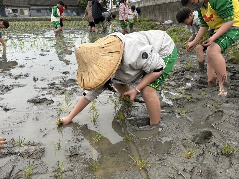 Sawah dicat mempromosikan Ekspo Pertanian Taiwan Tengah, Waktu Terbaik untuk Melihatnya pada Awal Mei