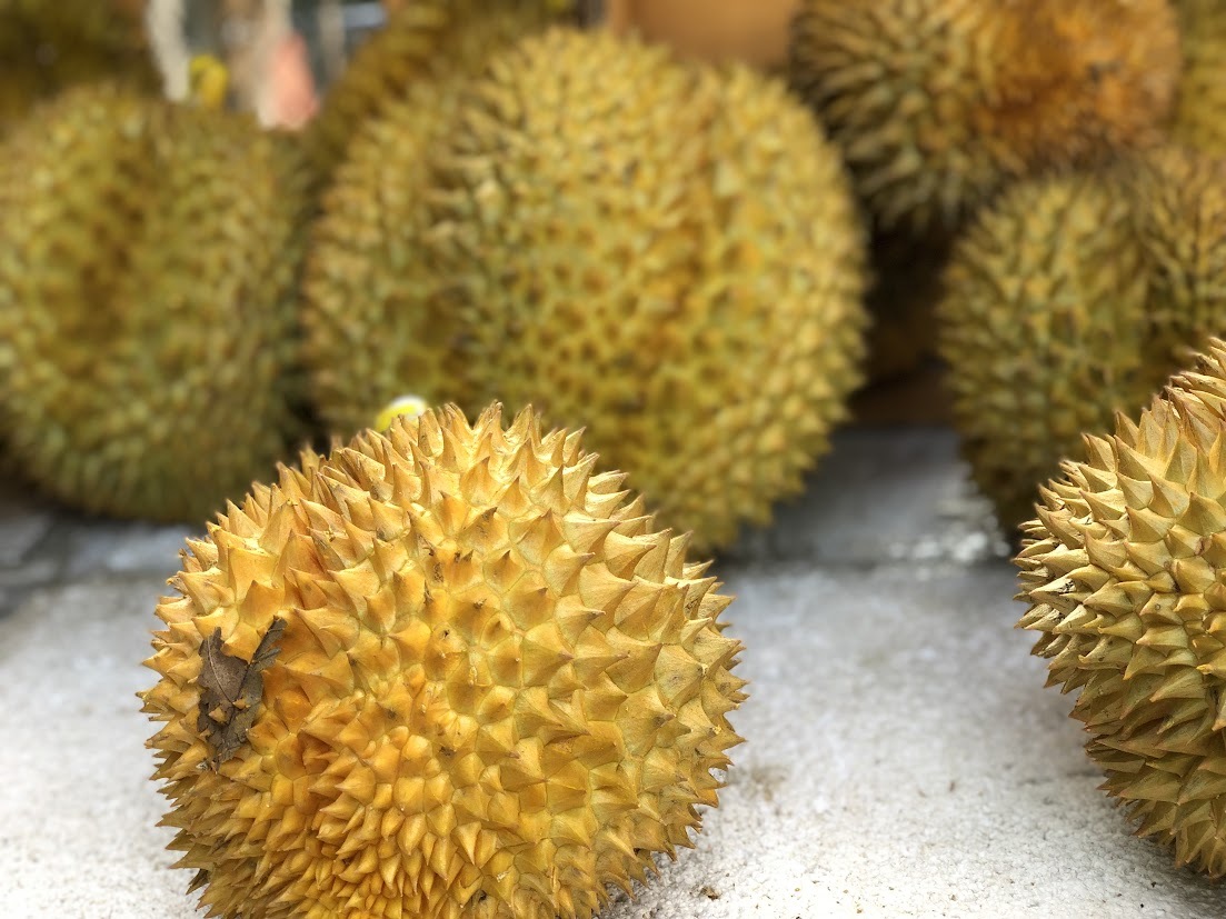 China memperketat kuarantin, pesaing mengelilingi – Durian Vietnam semakin kehilangan pasaran
